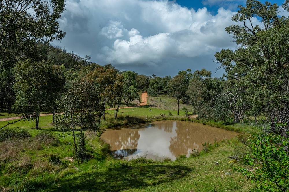 246 Cuthel Lane, GULGONG, NSW 2852