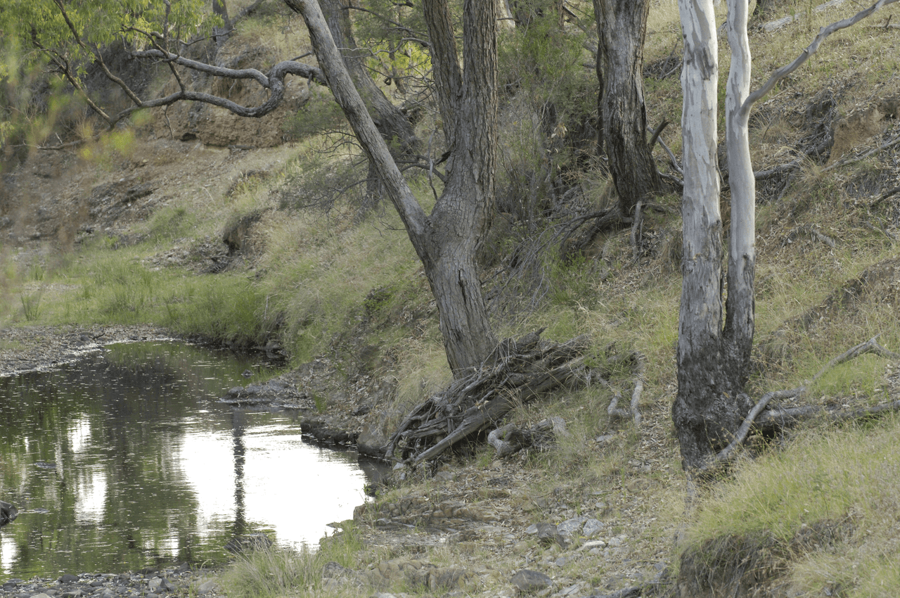 246 Cuthel Lane, GULGONG, NSW 2852