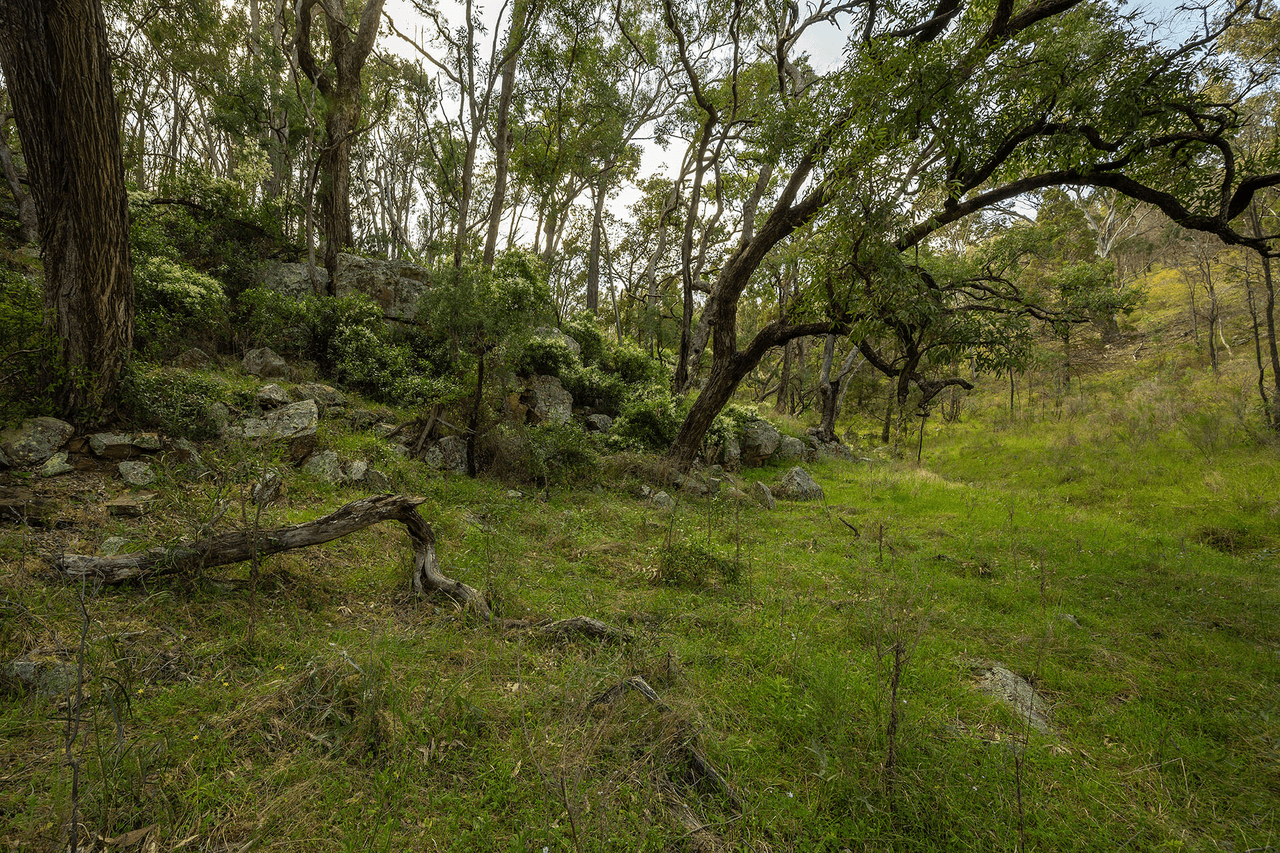 246 Cuthel Lane, GULGONG, NSW 2852