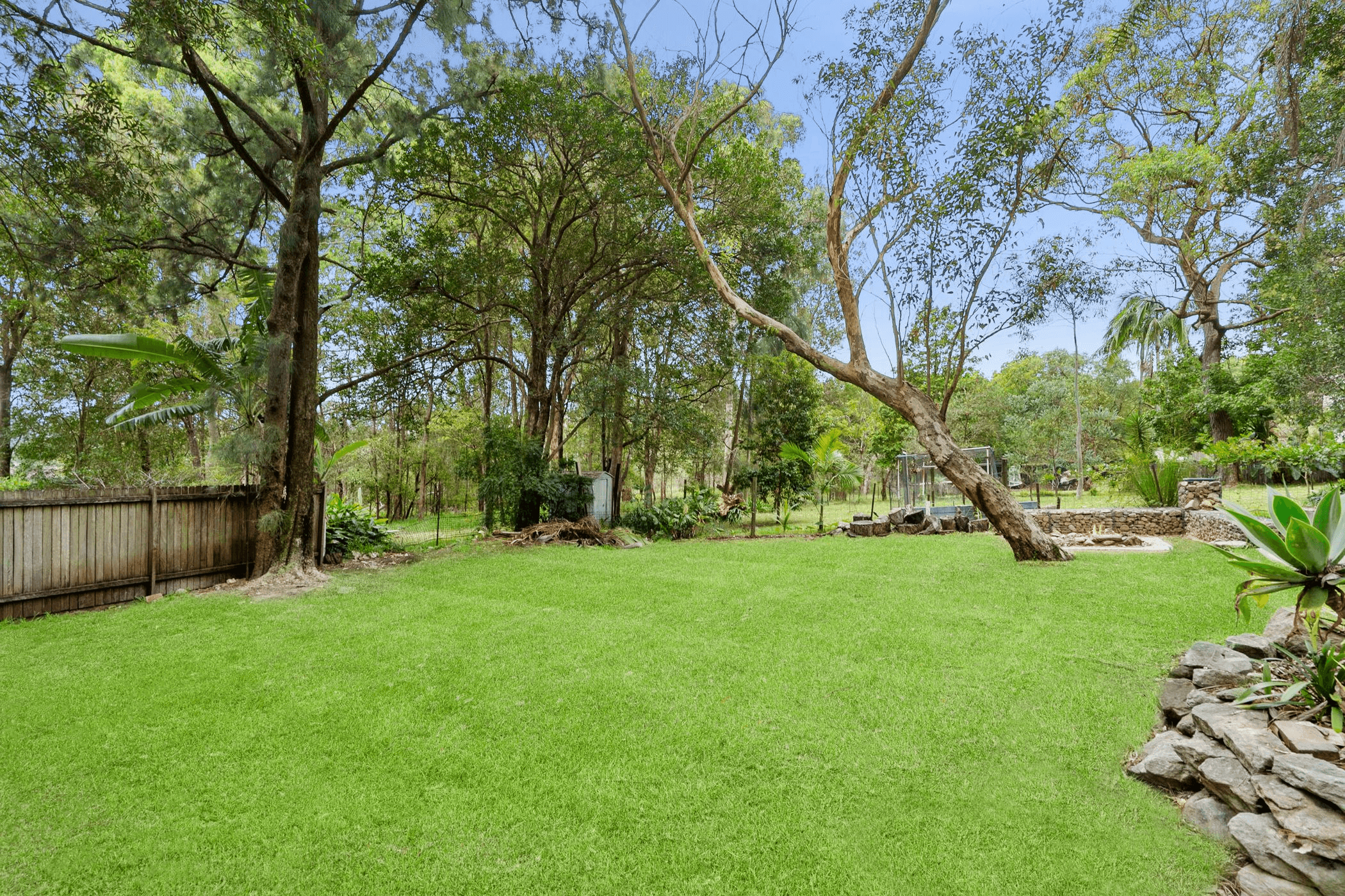 98 Grace Avenue, FORESTVILLE, NSW 2087