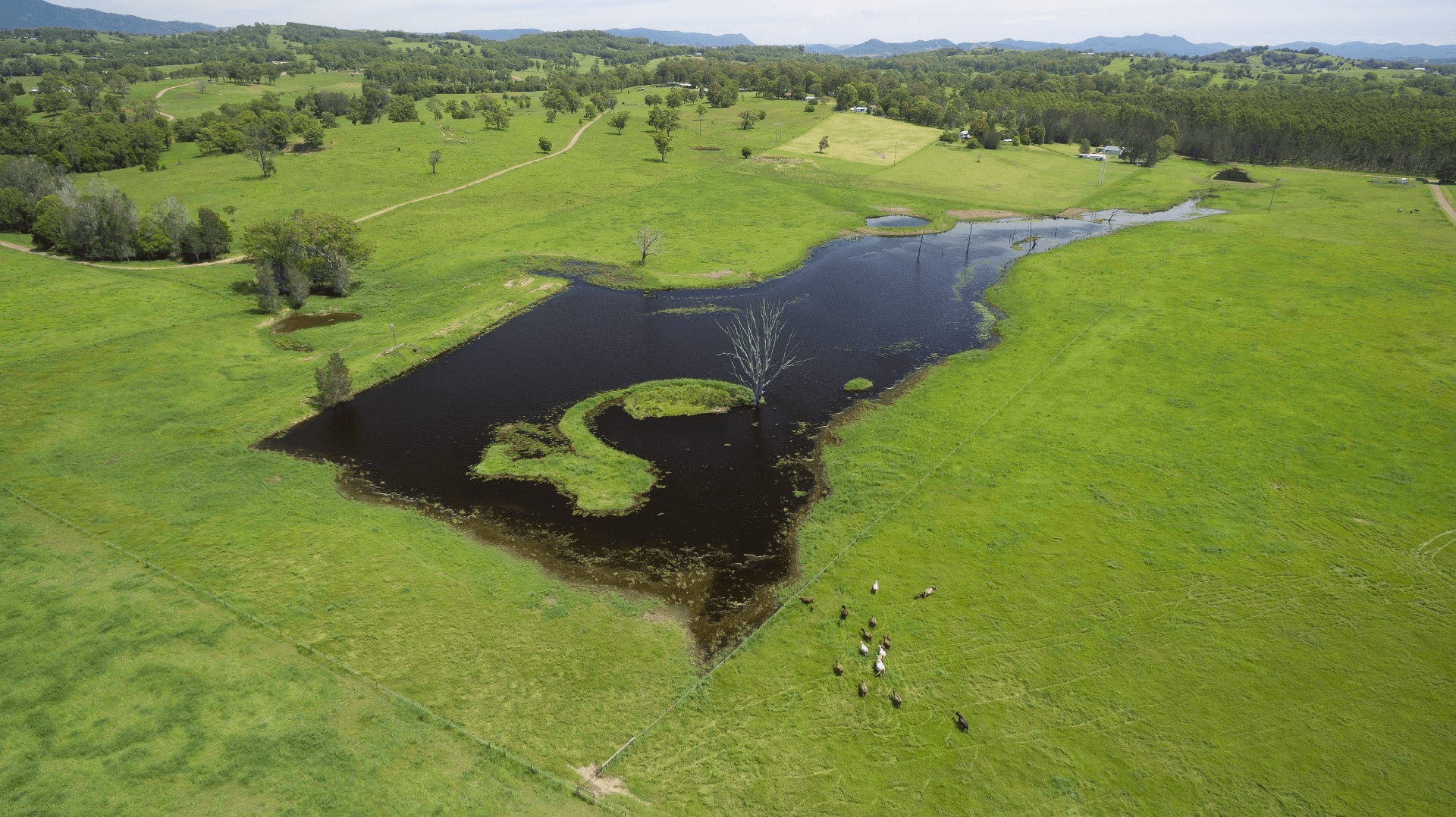 136 Mondrook Lane, Mondrook, NSW 2430