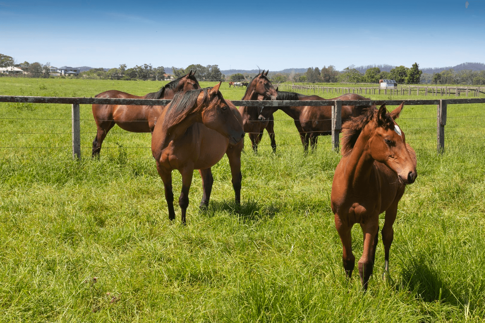 136 Mondrook Lane, Mondrook, NSW 2430