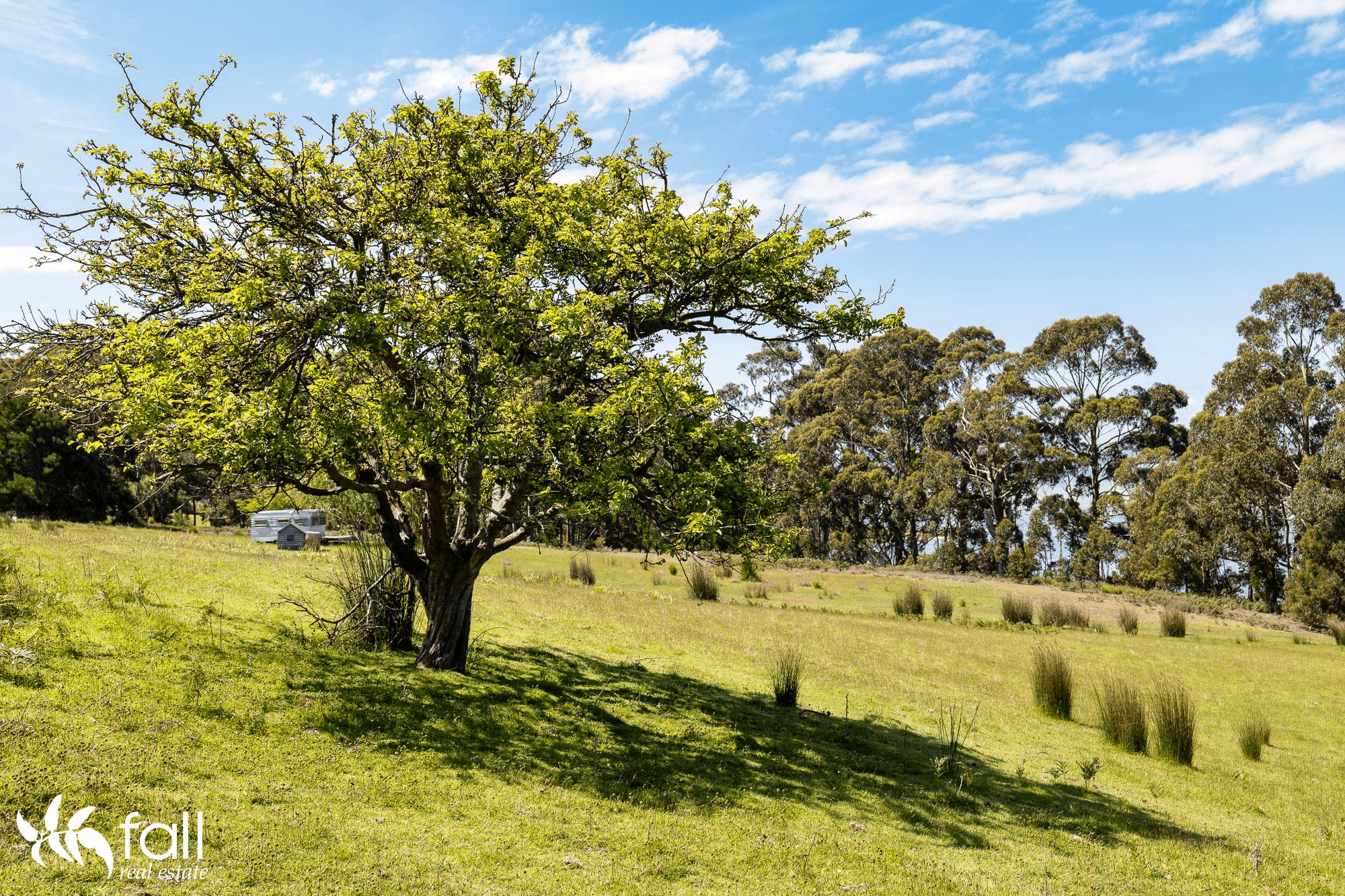 216 Simpsons Bay Road, SIMPSONS BAY, TAS 7150