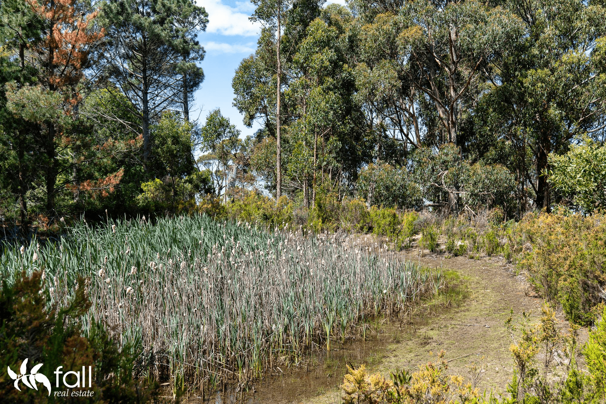 216 Simpsons Bay Road, SIMPSONS BAY, TAS 7150