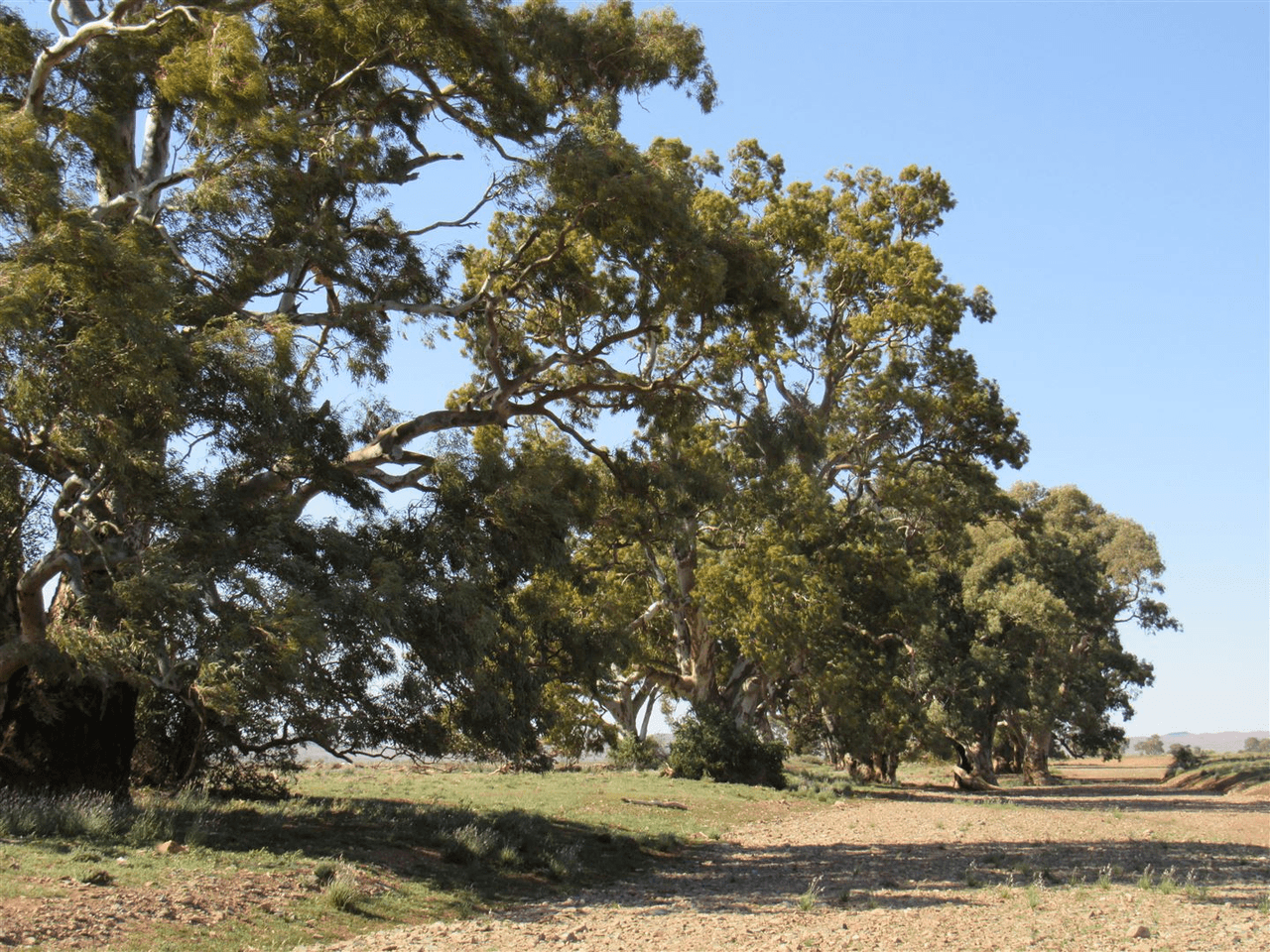 2261 Johnburgh Road, Orroroo, SA 5431