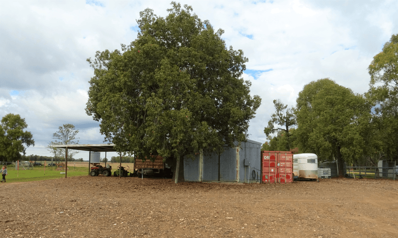 1035 Nuable Road, YARRIE LAKE, NSW 2388