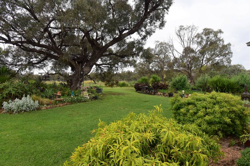 175R Nubingerie Road Benolong via, WELLINGTON, NSW 2820