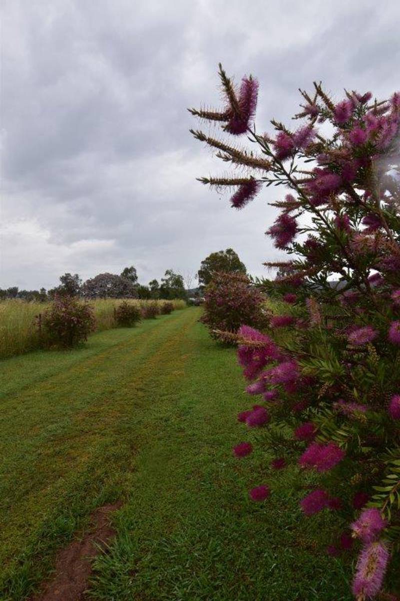 175R Nubingerie Road Benolong via, WELLINGTON, NSW 2820