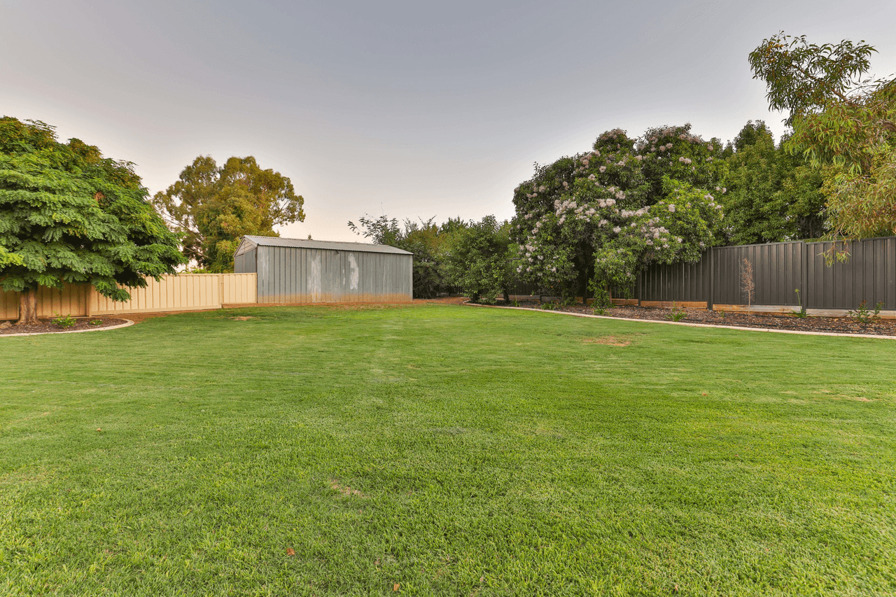 810 Karadoc Avenue, Irymple, VIC 3498