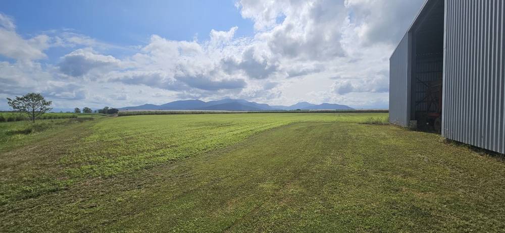 579 Trebonne Road, Trebonne, QLD 4850
