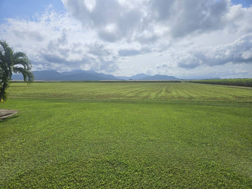 579 Trebonne Road, Trebonne, QLD 4850