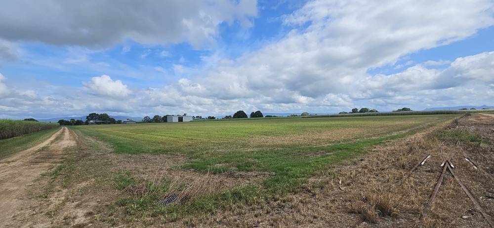 579 Trebonne Road, Trebonne, QLD 4850