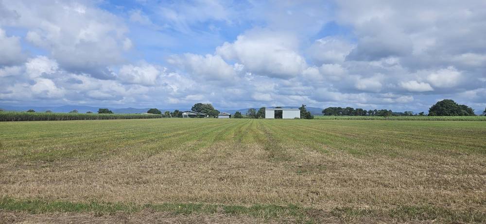 579 Trebonne Road, Trebonne, QLD 4850