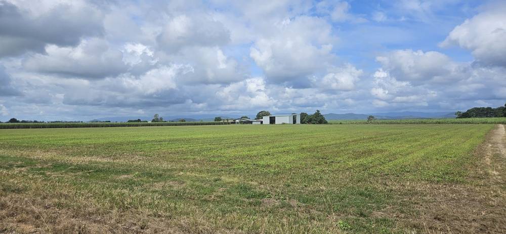 579 Trebonne Road, Trebonne, QLD 4850