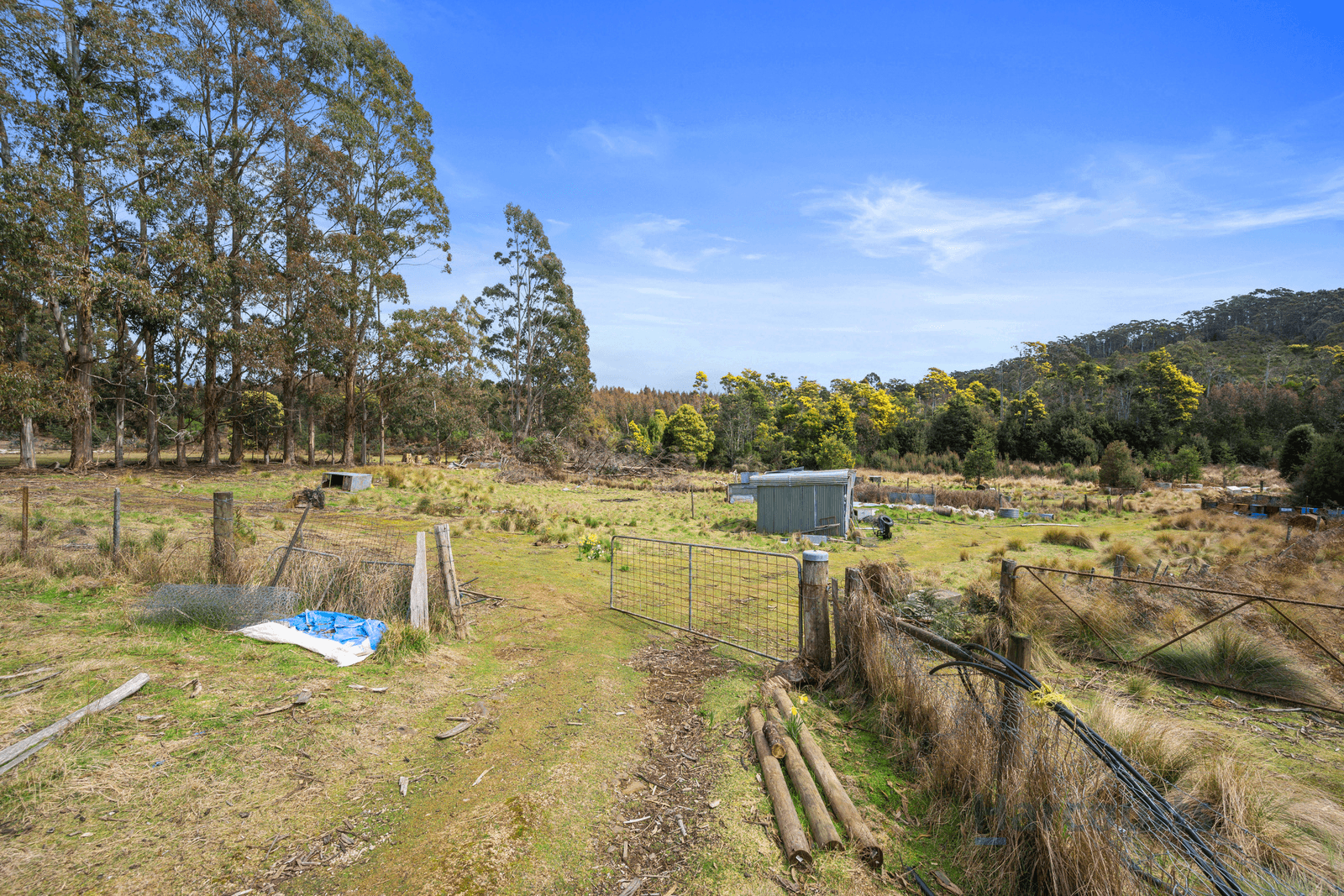 420 Loongana Road, NIETTA, TAS 7315