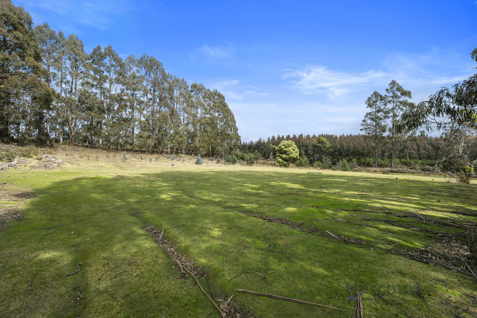 420 Loongana Road, NIETTA, TAS 7315