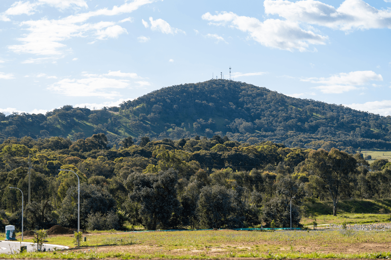 19 Bowerbird Court, THURGOONA, NSW 2640