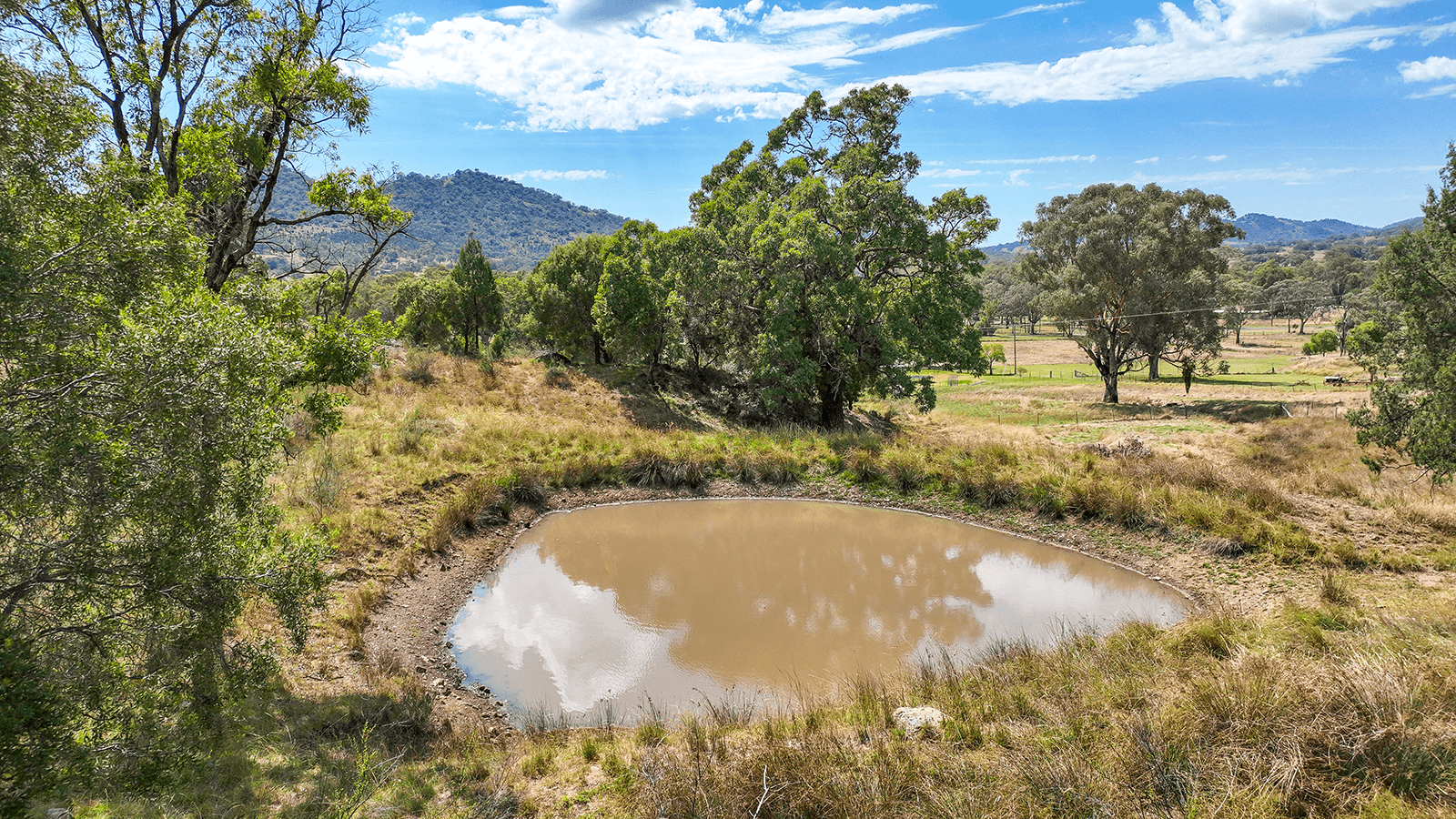 28 Angwins Lane, TAMWORTH, NSW 2340