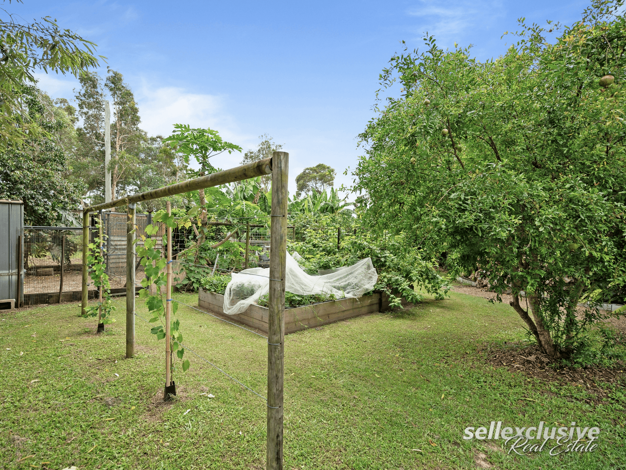 13 Sydes Court, Ningi, QLD 4511