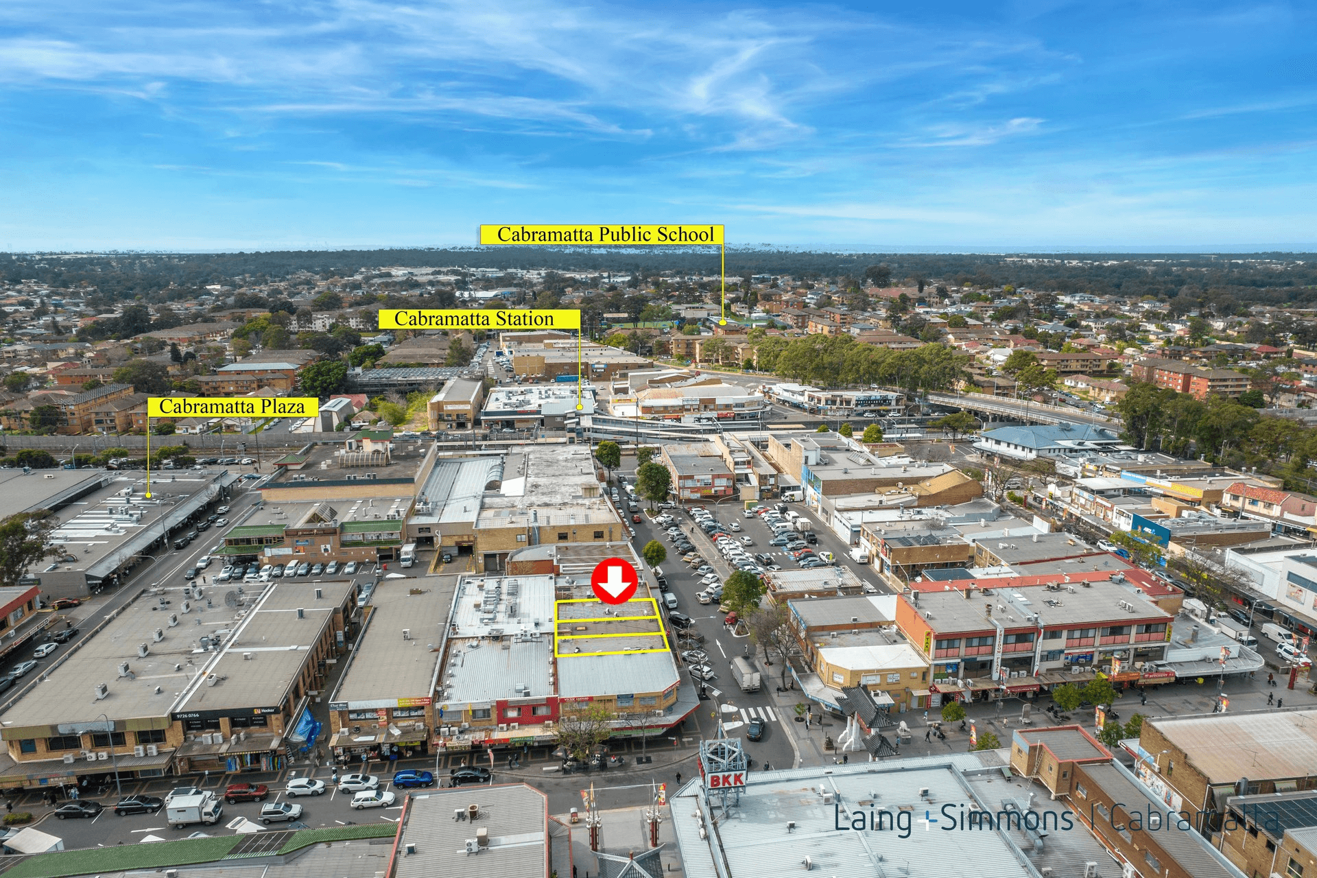 45 Arthur Street, Cabramatta, NSW 2166