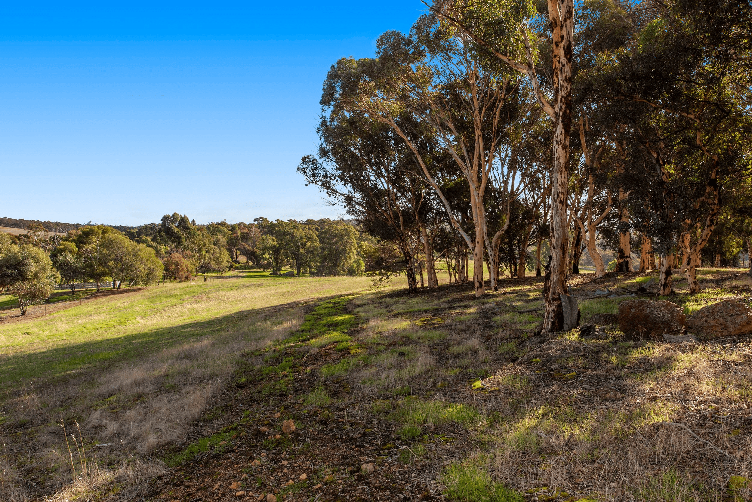 38 Redgum Court, WANDERING, WA 6308