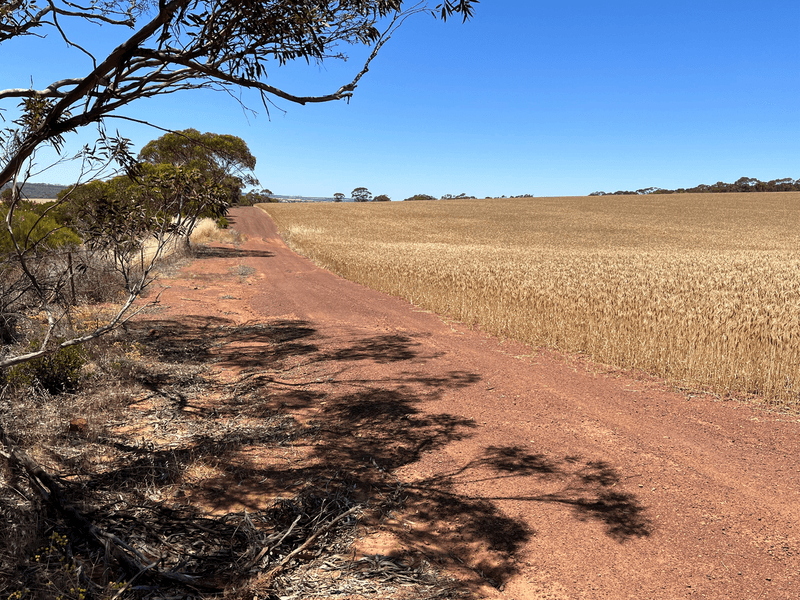 . Under Offer, WONGAN HILLS, WA 6603