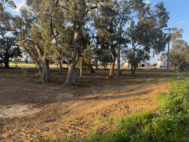 6071 WAKOOL ROAD, WAKOOL, NSW 2710