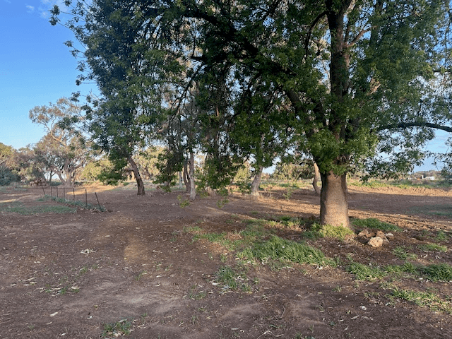 6071 WAKOOL ROAD, WAKOOL, NSW 2710