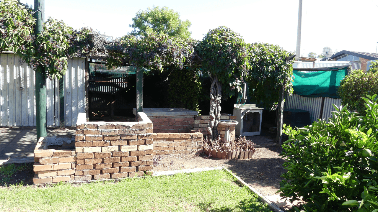 14 Thornton Ave, WARREN, NSW 2824