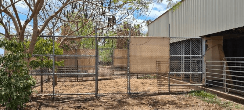 20 Mulgara Road, BERRY SPRINGS, NT 0838