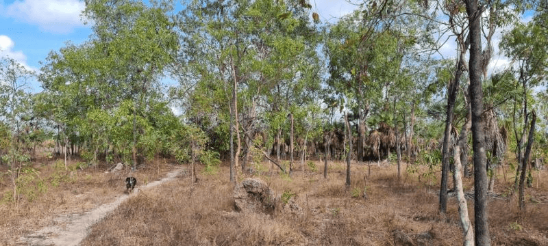 20 Mulgara Road, BERRY SPRINGS, NT 0838