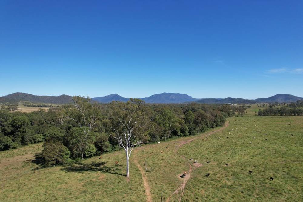 1691 Koumala Bolingbroke Road, KOUMALA, QLD 4738