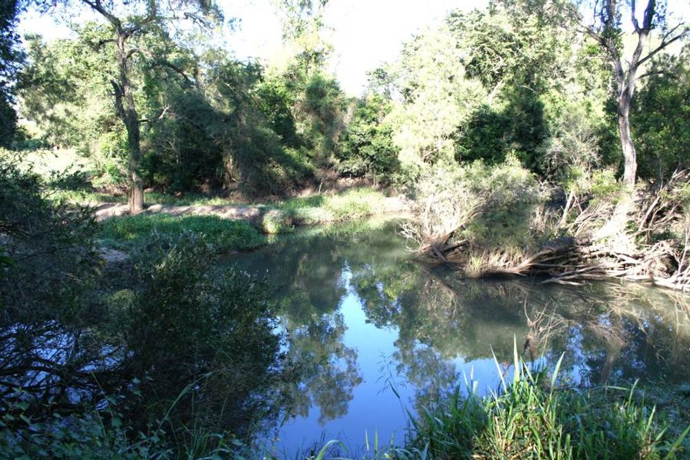 1691 Koumala Bolingbroke Road, KOUMALA, QLD 4738