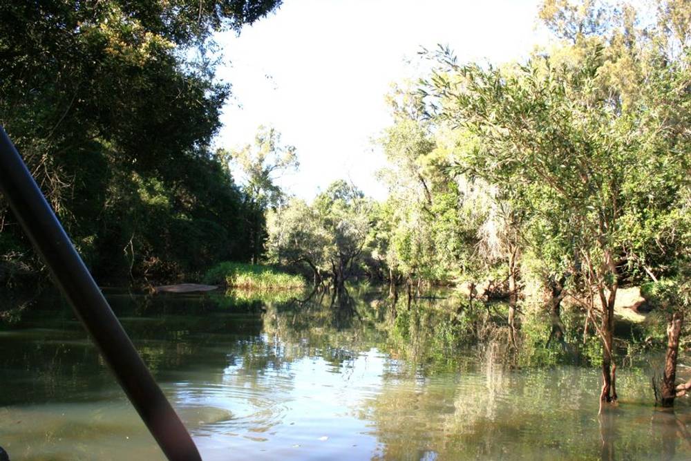 1691 Koumala Bolingbroke Road, KOUMALA, QLD 4738