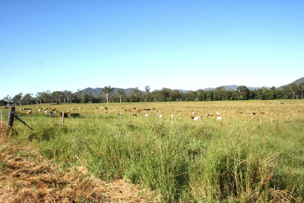 1691 Koumala Bolingbroke Road, KOUMALA, QLD 4738