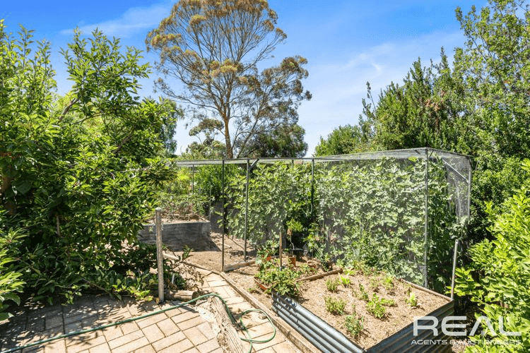 53 Flinders Drive, VALLEY VIEW, SA 5093