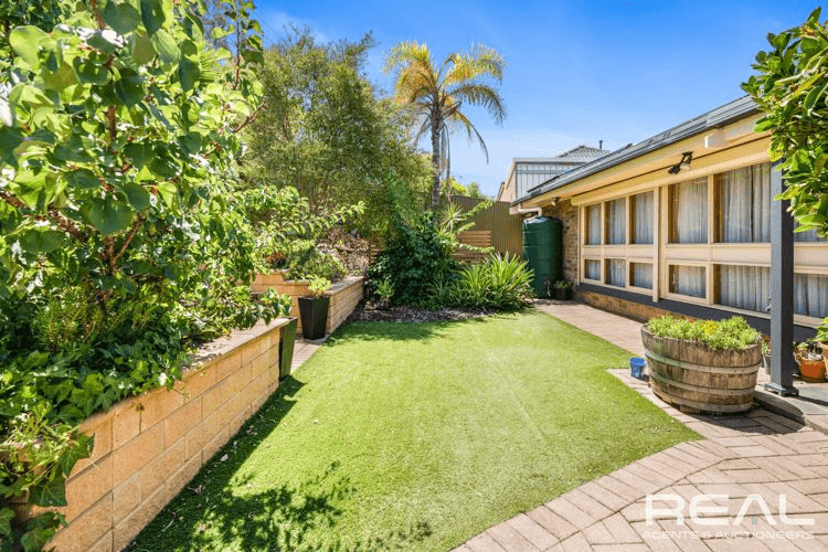 53 Flinders Drive, VALLEY VIEW, SA 5093