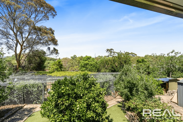 53 Flinders Drive, VALLEY VIEW, SA 5093