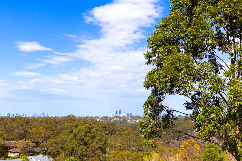 39 Sir Thomas Mitchell Drive, Davidson, NSW 2085