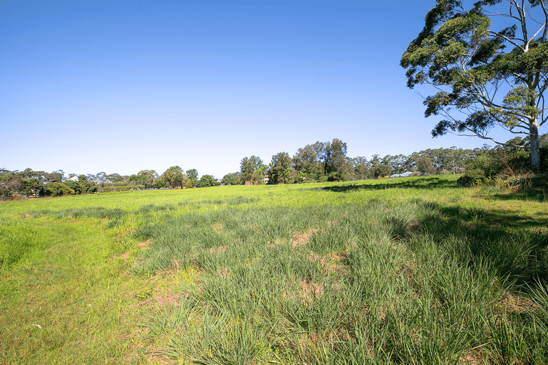 31 Walter Road, INGLESIDE, NSW 2101