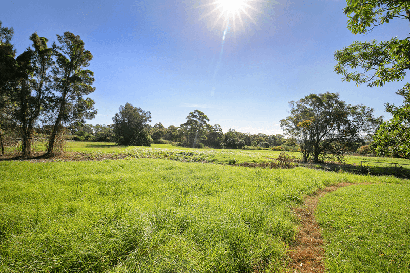 31 Walter Road, INGLESIDE, NSW 2101