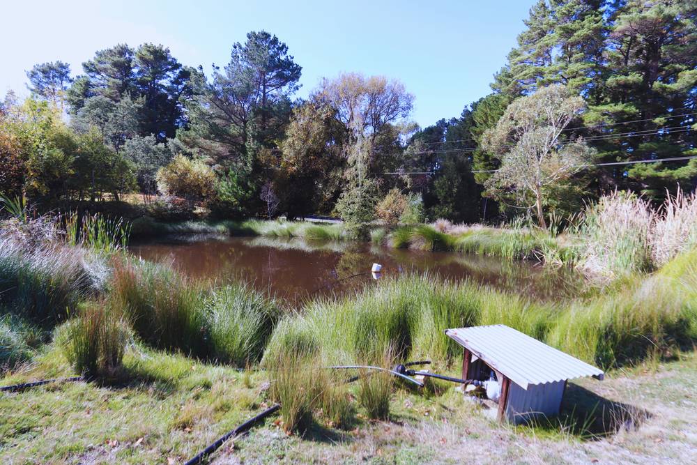 347 Yetholme Drive, Yetholme, NSW 2795