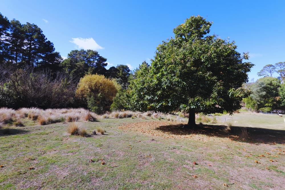 347 Yetholme Drive, Yetholme, NSW 2795