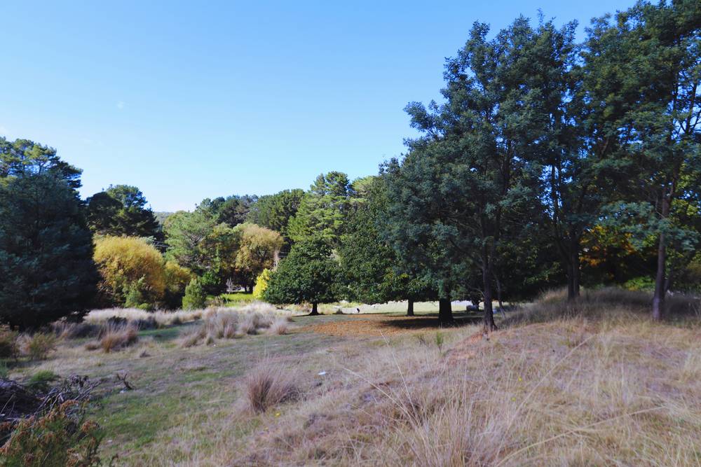 347 Yetholme Drive, Yetholme, NSW 2795