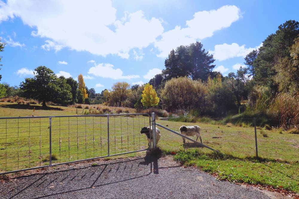 347 Yetholme Drive, Yetholme, NSW 2795