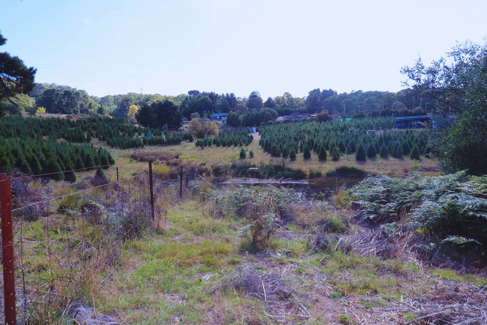 347 Yetholme Drive, Yetholme, NSW 2795
