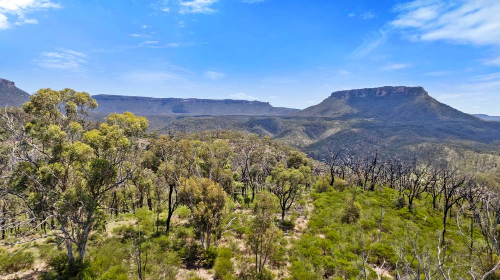 88 Mortimers Road, GLEN DAVIS, NSW 2846