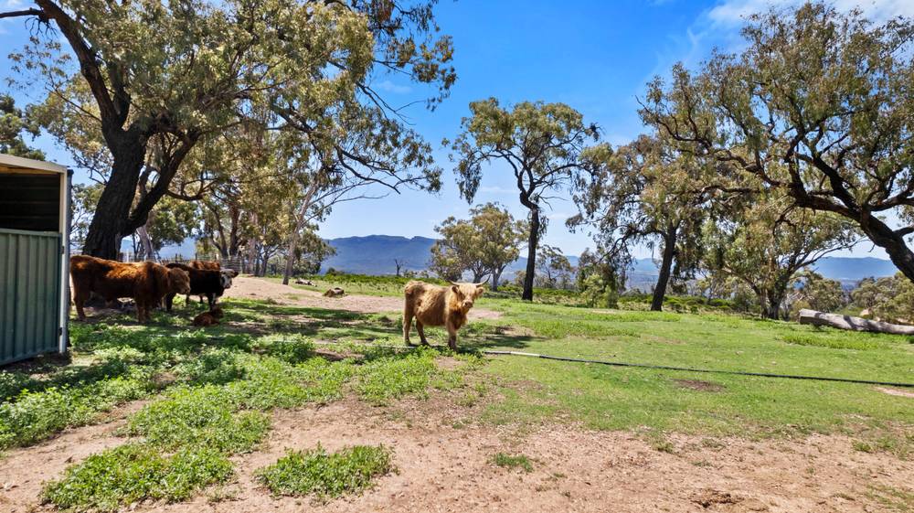 88 Mortimers Road, GLEN DAVIS, NSW 2846