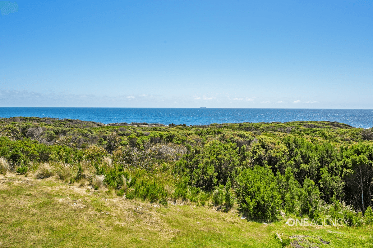 56 Amaroo Drive, Edgcumbe Beach, TAS 7321