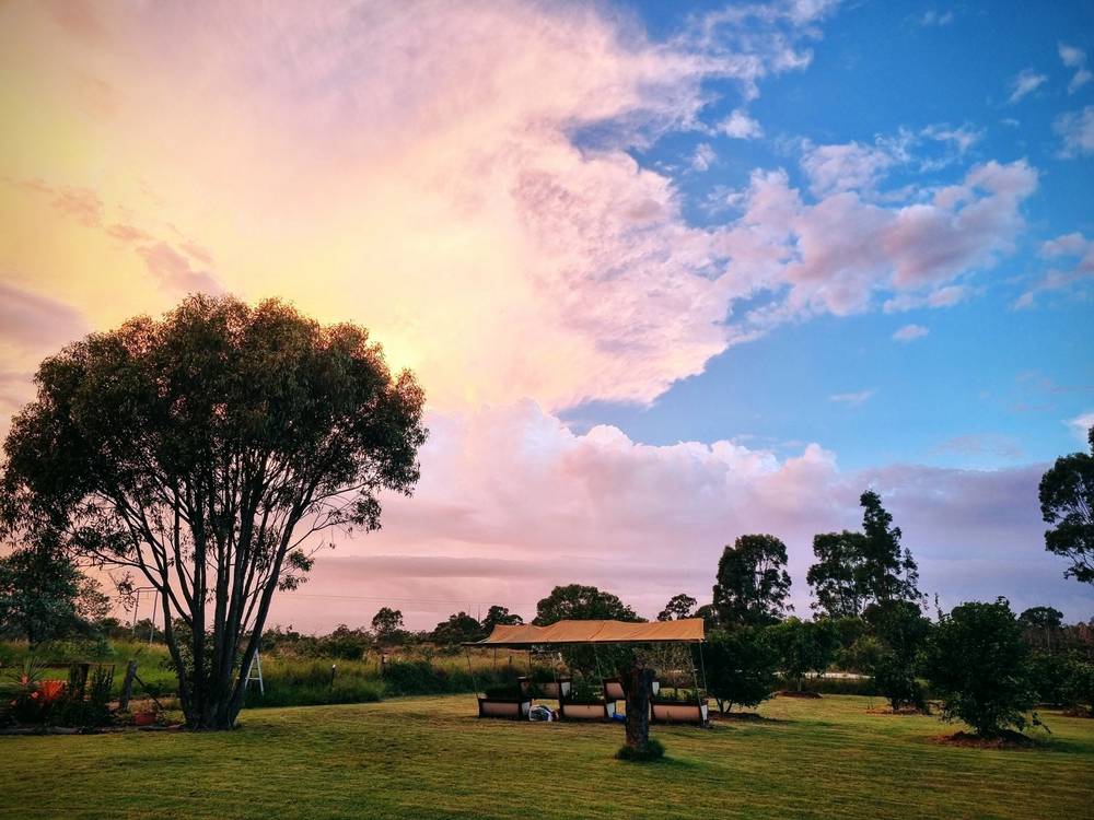452 Abington Road, Abington, QLD 4660